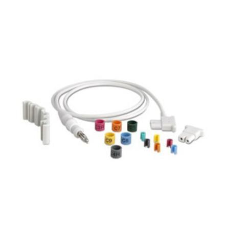 989803151781 989803151781